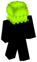 Skinfile