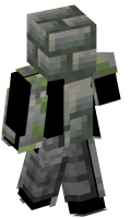 Skinfile
