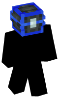 Skinfile