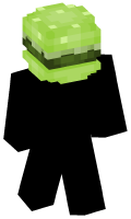 Skinfile