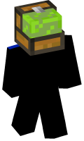 Skinfile