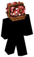 Skinfile