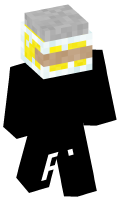 Skinfile