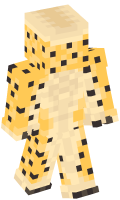 Skinfile