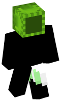 Skinfile