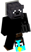 Skinfile
