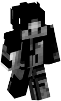 Skinfile