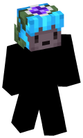 Skinfile