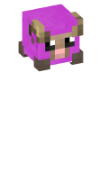 Skinfile