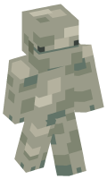 Skinfile