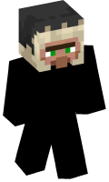 Skinfile