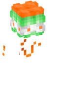 Skinfile