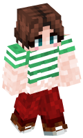 Skinfile
