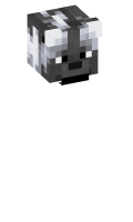 Skinfile