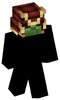 Skinfile