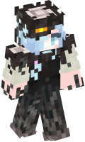 Skinfile