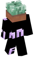 Skinfile