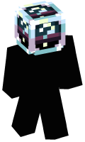 Skinfile