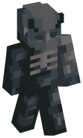Skinfile