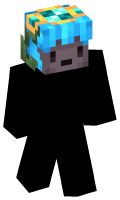 Skinfile