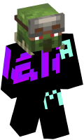 Skinfile