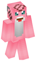 Skinfile