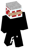 Skinfile