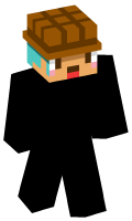 Skinfile