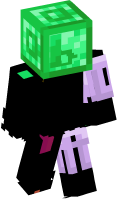 Skinfile