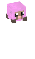 Skinfile