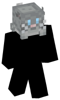 Skinfile