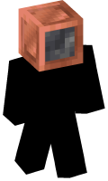 Skinfile