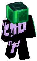 Skinfile