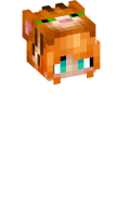 Skinfile