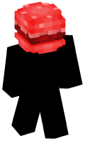 Skinfile