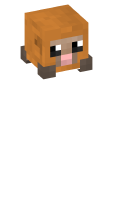 Skinfile
