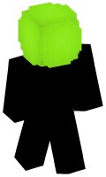 Skinfile