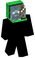 Skinfile