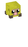 Skinfile