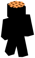 Skinfile