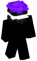 Skinfile