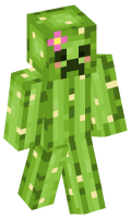 Skinfile
