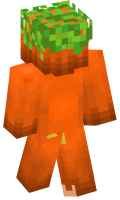 Skinfile