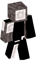 Skinfile