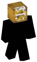 Skinfile