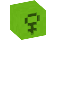 Skinfile