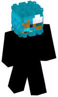 Skinfile
