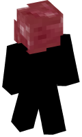 Skinfile