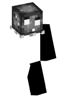 Skinfile