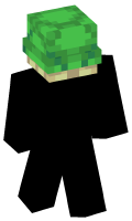 Skinfile